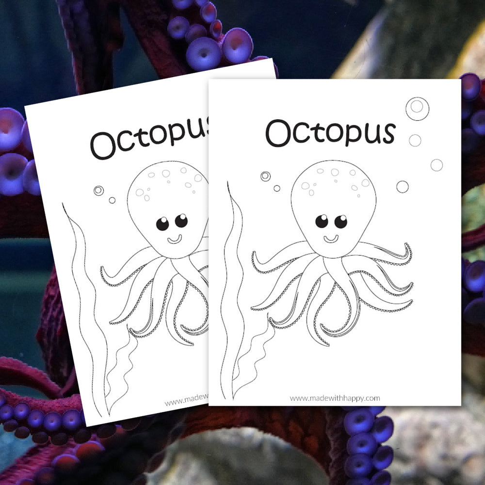 Octopus Color Sheet