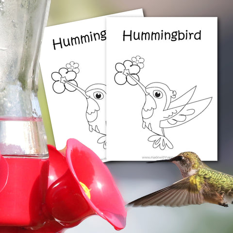Hummingbird Color Page