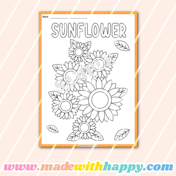 Sunflower Life Cycle Activity Worksheets