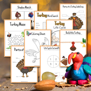 Turkey Facts For Kids Worksheets