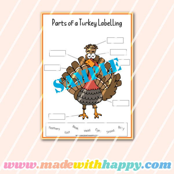 Turkey Facts For Kids Worksheets